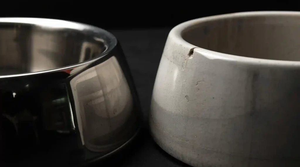 Durability comparison of stainless steel dog bowl and chipped ceramic dog bowl